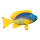 Tropical fish  - Material: styrofoam printed - Color: blue/yellow - Size: 30x16cm
