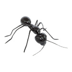 Ameise,  Größe: 27x20cm, Farbe: schwarz