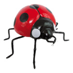 Ladybird  - Material: styrofoam covered with paper -...