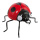 Ladybird styrofoam covered with paper     Size: 35x27cm    Color: red/black
