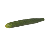 Concombre  caoutchouc Color: vert Size:  X 30cm