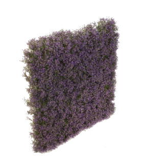 Blumenbox XL Mural Gipso Morada violett, für Innen und Außen, 65x65x12cm