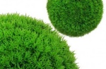 Grashalbkugel, Ø 28cm, ca. 14 cm hoch, grün,...